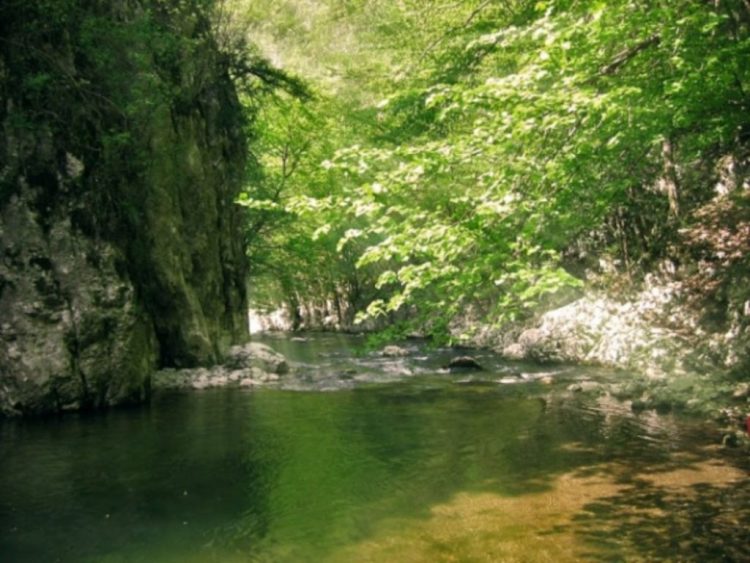 cheile garlistei 11