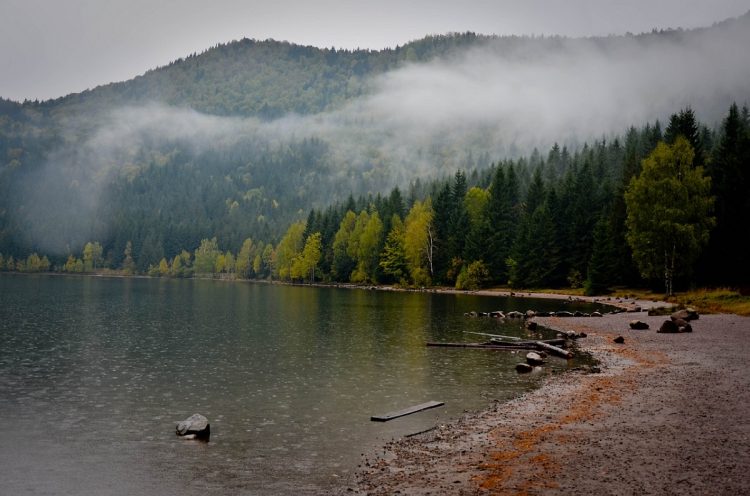 lacul_sf_ana_1_0