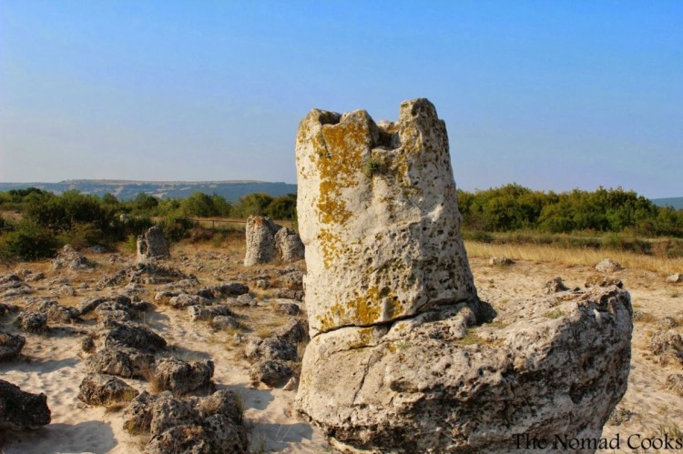 Padurea de piatra de la Varna 11