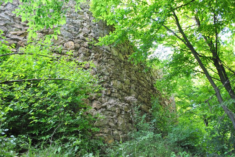 cetatea_jdioara
