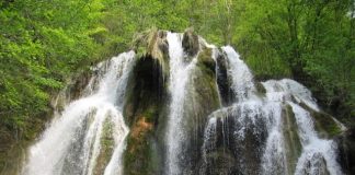 Cascada Beusnitei – minunea din mijlocul padurii