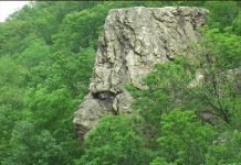 Sfinxul de la Topleț – Valea Cernei