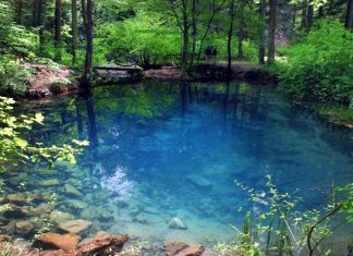 Cheile Carașului și Parcul Național Semenic FOTO
