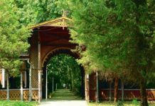 Colonada din Buziaș – unicat în Europa