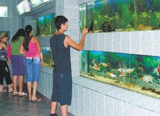 Acvariul din Constanţa, de vizitat