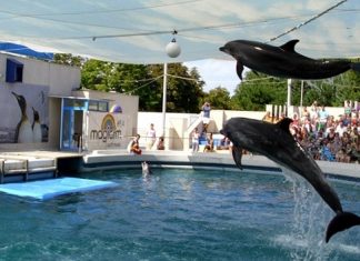 Obiective turistice în Constanţa