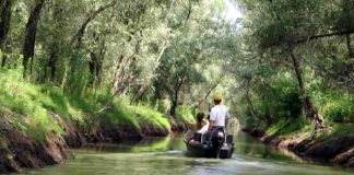 Aplicaţie IT pentru o excursie reuşită în Delta Dunării