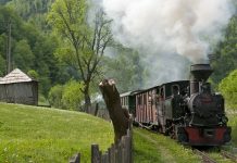 Mocăniţa din Vişeu de Sus (Maramureş)