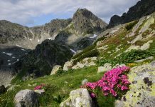 Parcul Naţional Retezat, cea mai importantă rezervaţie naturală din România