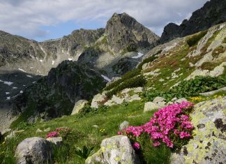 Parcul Naţional Retezat, cea mai importantă rezervaţie naturală din România