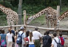 Parcul zoologic din Szeged, o grădină a naturii