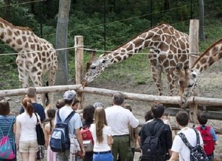 Parcul zoologic din Szeged, o grădină a naturii