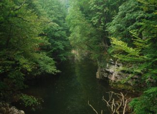 Cheile Minișului – locul din Banat vânat de exploratori