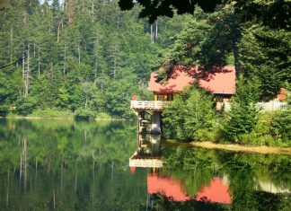 Lacul Buhui – primul lac artificial din România FOTO