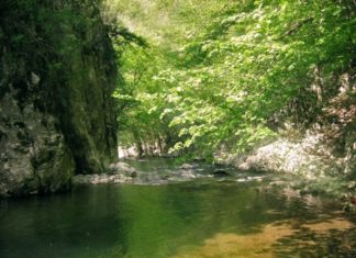 Cheile Gârliștei – frumusețea munților din Banat