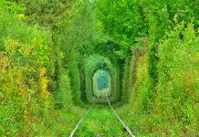 Tunelul iubirii din Caraș-Severin – locul în care se fac pozele perfecte pentru nuntă