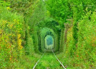 Tunelul iubirii din Caraș-Severin – locul în care se fac pozele perfecte pentru nuntă