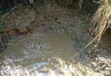 Vulcanii noroioşi de la Pişchia, una dintre minunile Banatului