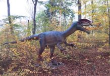 Bănăţenii pot vizita singurul parc cu dinozauri din Sud-Estul Europei. Se află în România! VIDEO
