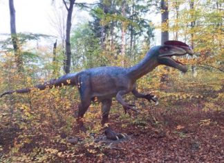 Bănăţenii pot vizita singurul parc cu dinozauri din Sud-Estul Europei. Se află în România! VIDEO
