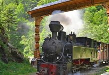 Mocăniţa de pe Valea Vaserului – Maramureş