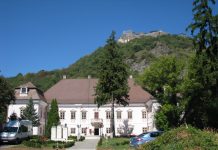 Castelul Magna Curia