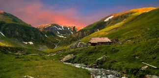 La Poiana Mărului se respiră cel mai pur aer de pe planetă