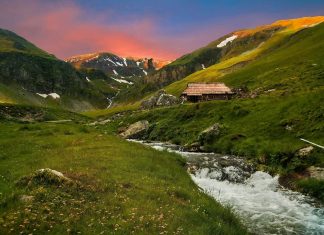 La Poiana Mărului se respiră cel mai pur aer de pe planetă
