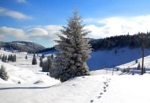 Satul de vacanţă Boga, situat nu departe de Timişoara, oferă privelişti de vis