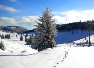 Satul de vacanţă Boga, situat nu departe de Timişoara, oferă privelişti de vis