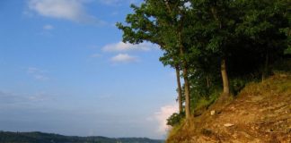 Lacul Surduc – loc de agrement și lac de acumulare pentru Timișoara