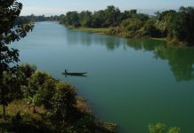 Parcul Natural Lunca Mureşului