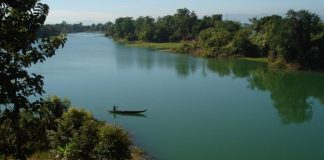 Parcul Natural Lunca Mureşului