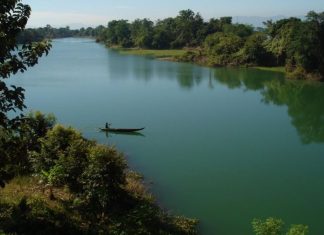 Parcul Natural Lunca Mureşului