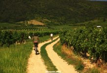 Cele mai frumoase cinci orașe care merită vizitate în Ungaria / FOTO