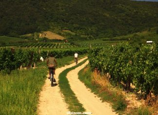 Cele mai frumoase cinci orașe care merită vizitate în Ungaria / FOTO