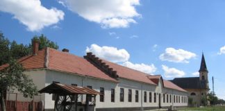 Nițchidorf – satul româncei care a câștigat premiul Nobel