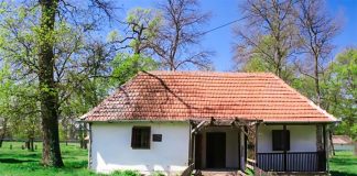 Cea mai veche primărie sătească din Banat