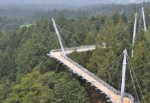 Cea mai lunga potecă din lume se găsește în Germania. Află ce poți vedea