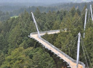 Cea mai lunga potecă din lume se găsește în Germania. Află ce poți vedea