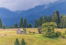 Atracțiile oferite de Perla Bucovinei – Vatra Dornei