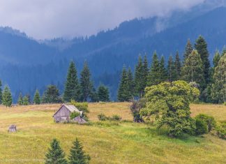 Atracțiile oferite de Perla Bucovinei – Vatra Dornei