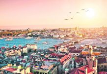 Animawings lansează curse directe Timișoara – Istanbul din această toamnă