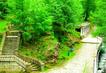 Cheile și Cascada Slănicului – loc preferat de promenadă și trekking