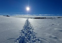 3 locuri in Transilvania unde se pot face drumeții prin zăpadă