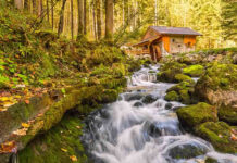 7 motive să vizitezi Austria toamna