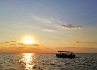 De ce sa alegi Delta Dunarii pentru vacanta cu familia