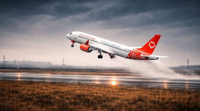 Sandwich și apă incluse în tarif: AnimaWings ridică standardul pe rutele domestice