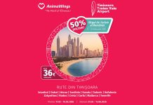 „Love is in the Air”: bilete la jumătate de preț pentru zborurile operate de pe Aeroportul Timișoara